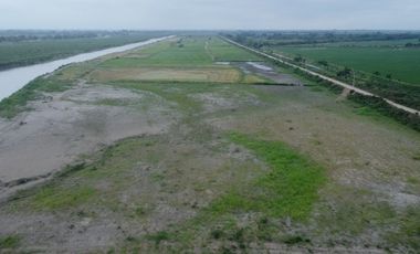 En venta hacienda de 90 hectáreas en km 26 virgen del Fatima, Puerto Inca