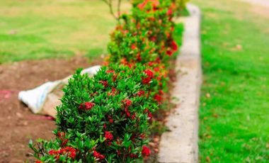 QUINTAS LAS CAMELIAS DISPONIBLE3105883697