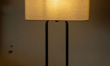 QUINTAS LAS CAMELIAS DISPONIBLE3105883697