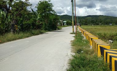 Vacant Lot Best for Subdivision Development, 28,757 sqm