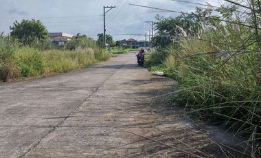 Two 150sqm Lots in Luisville Subd., Estefania