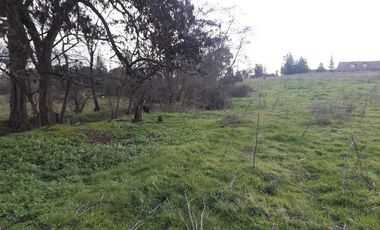 Parcela en loteo El Golf ,Talca V 1555-P-80-GR-5.24