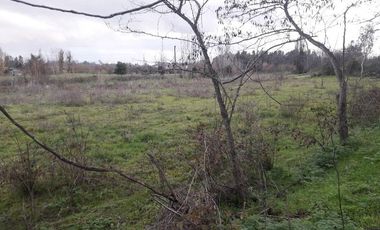 Parcela en loteo El Golf ,Talca V 1555-P-80-GR-5.24