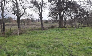 Parcela en loteo El Golf ,Talca V 1555-P-80-GR-5.24