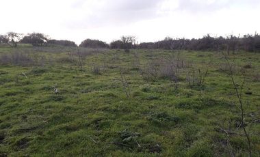 Parcela en loteo El Golf ,Talca V 1555-P-80-GR-5.24