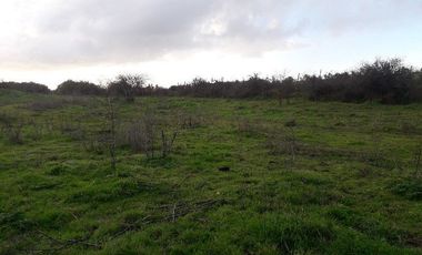 Parcela en loteo El Golf ,Talca V 1555-P-80-GR-5.24