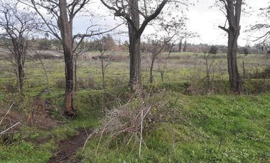 Parcela en loteo El Golf ,Talca V 1555-P-80-GR-5.24