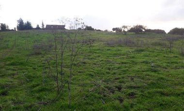 Parcela en loteo El Golf ,Talca V 1555-P-80-GR-5.24