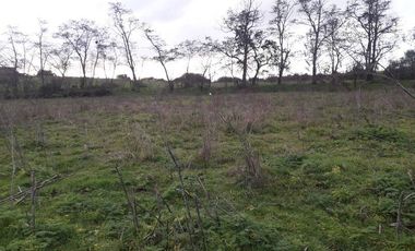 Parcela en loteo El Golf ,Talca V 1555-P-80-GR-5.24