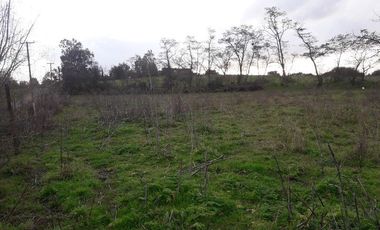 Parcela en loteo El Golf ,Talca V 1555-P-80-GR-5.24