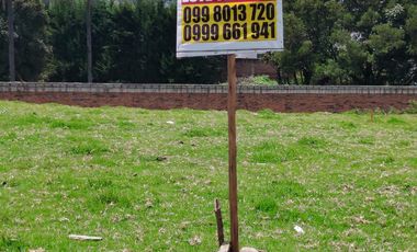 VENTA, CAYAMBE, TERRENO URBANO 1000 m2, PLANO, BIEN UBICADO.