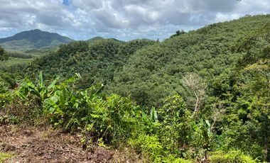12 rai of hillside land with an incredible mountain view for sale in Takua Tung, Phangnga
