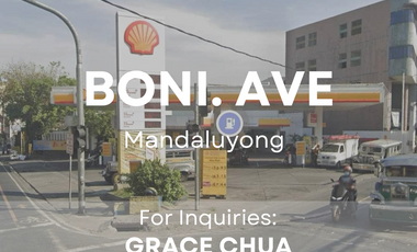 Income Generating Property along Boni. Ave, Mandaluyong City