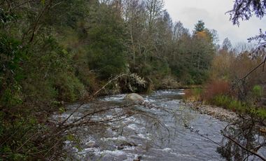 Excelente Parcela de 2,2 ha a orilla de Río Mañío en Panguipulli