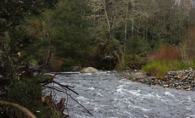 Excelente Parcela de 2,2 ha a orilla de Río Mañío en Panguipulli