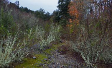 Excelente Parcela de 2,2 ha a orilla de Río Mañío en Panguipulli