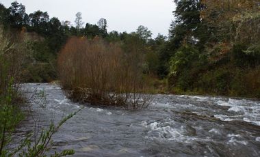 Excelente Parcela de 2,2 ha a orilla de Río Mañío en Panguipulli