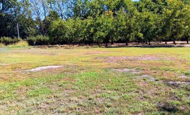 Parcela Nogales de Mostazal, VENTA.