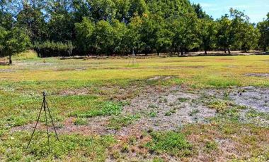 Parcela Nogales de Mostazal, VENTA.