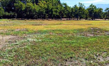 Parcela Nogales de Mostazal, VENTA.