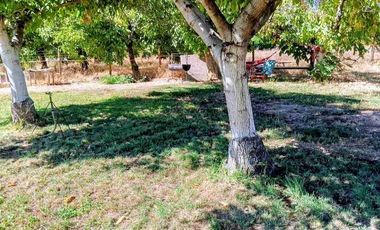 Parcela Nogales de Mostazal, VENTA.