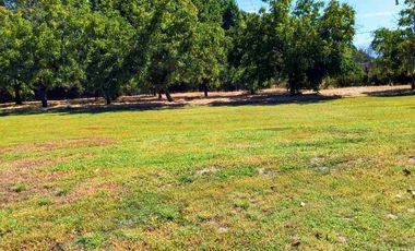 Parcela Nogales de Mostazal, VENTA.