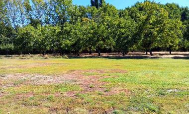 Parcela Nogales de Mostazal, VENTA.