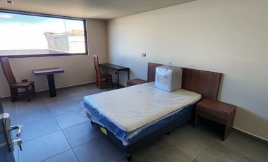 Renta de Departamentos tipo ejecutivos unipersonales