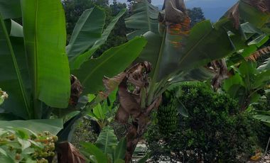 VENDO FINCA EN CACHIPAY