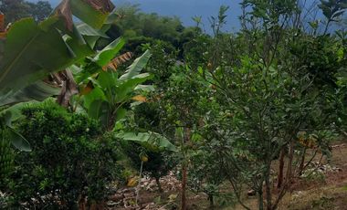 VENDO FINCA EN CACHIPAY
