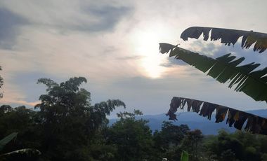 VENDO FINCA EN CACHIPAY