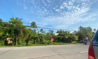 Lot for Lease located in Poblacion, Panglao Island, Bohol