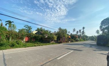 Lot for Lease located in Poblacion, Panglao Island, Bohol