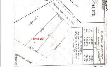 Lot for Lease located in Poblacion, Panglao Island, Bohol