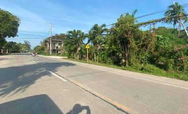 Lot for Lease located in Poblacion, Panglao Island, Bohol