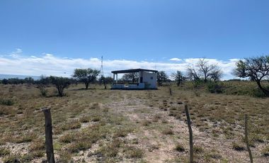 Terreno Campestre a 20 min de Ags. 10,000 m2 con terraza y asador $860,000