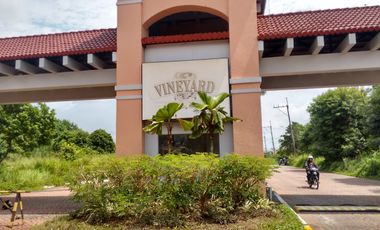 Robinsons Vineyard Dasmarinas Cavite House For Sale