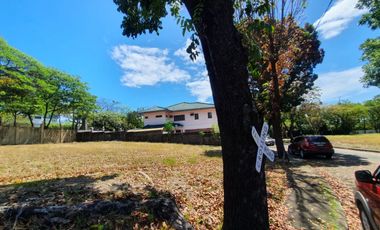 For Sale Residential Lot in Ayala Alabang Village, Muntinlupa City - CRS0119