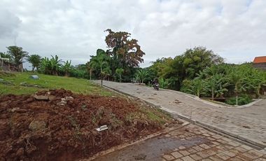 Freehold - Premium Land Available for Sale In Canggu
