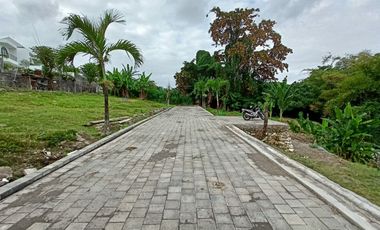 Freehold - Premium Land Available for Sale In Canggu