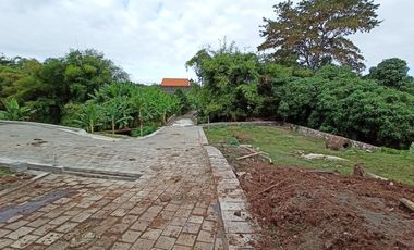 Freehold - Premium Land Available for Sale In Canggu