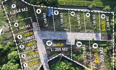 Freehold - Premium Land Available for Sale In Canggu