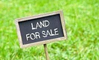 Vacant Lot For Sale 24,000sqm JP Rizal Mandaluyong