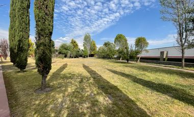 TERRENO EJIDAL EN VENTA, COL. ALVARO OBREGON, METEPEC