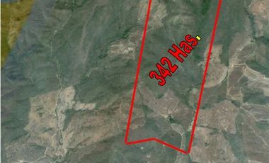 Terreno en Venta en La Huerta.		$13,200,000
