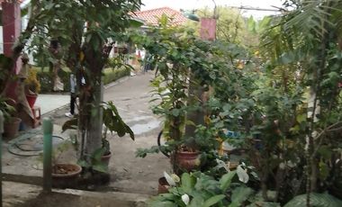 Casa en Orizaba Veracruz. Para alquilar habitaciones a estudiantes