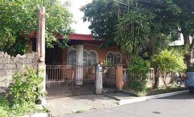 Residential Lot In Las Pinas In A Gated Community
