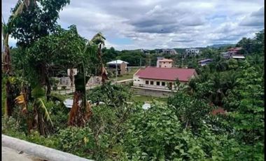 100 sqm Residential lot for sale in Liloan Cebu
