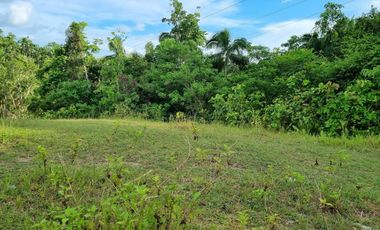 For Sale: Commercial/Residential Lots in Loboc, Bohol, P5.2M