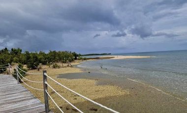 Beach House for sale in Danao City, Cebu with amenities Ready for Occupancy